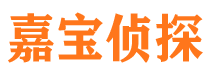 天心市侦探公司